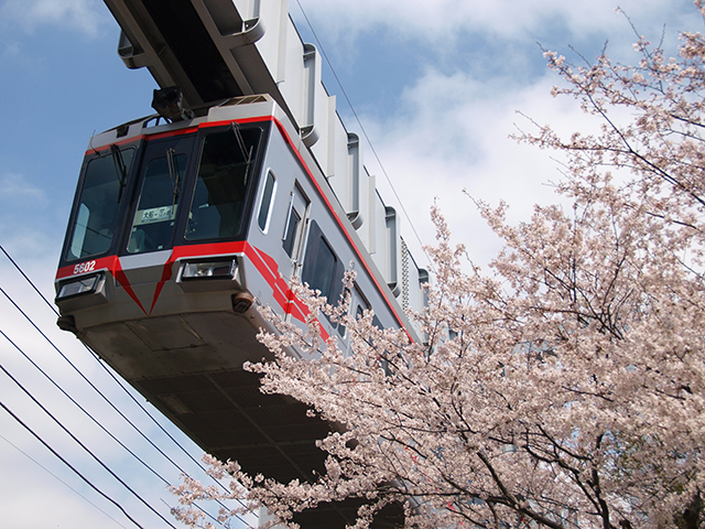 Shonan Monorail